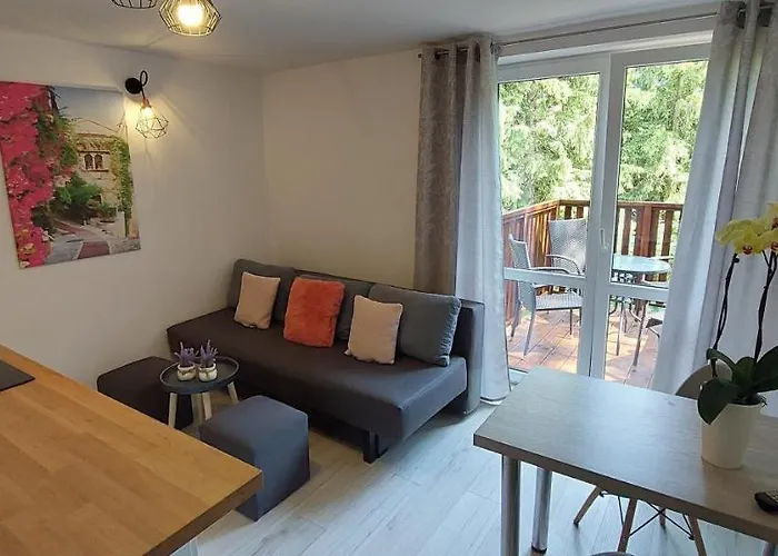 Апартаменты Przy Lesie